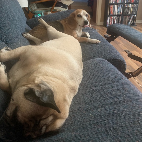 Meet your Posher, Patrick - Picture 1 of 1